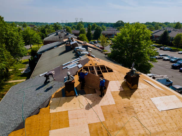 Trusted Roof Replacement service in Springfield, MN - Brentwood Metal Roofing